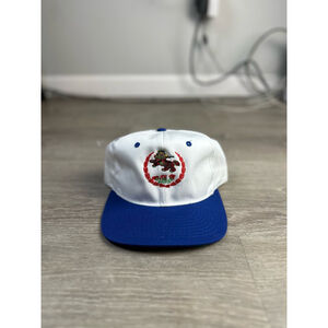 Vintage SnapBack White W/ Green Underbrim
